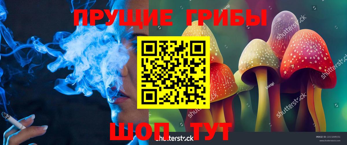 Луховицы  Псилоцибиновые грибы Magic Shrooms  Вход с VPN  Псилоцибиновые грибы Cubensis 