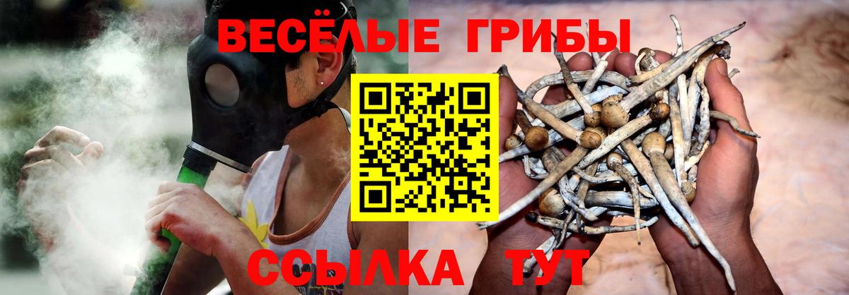 Галлюциногенные грибы Magic Shrooms Луховицы